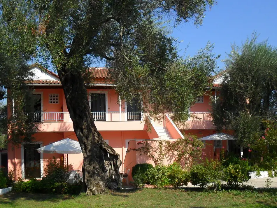 holidays in dassia apartments and studios marilena 4